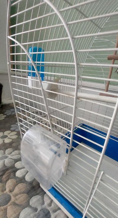 Клетка за папагал