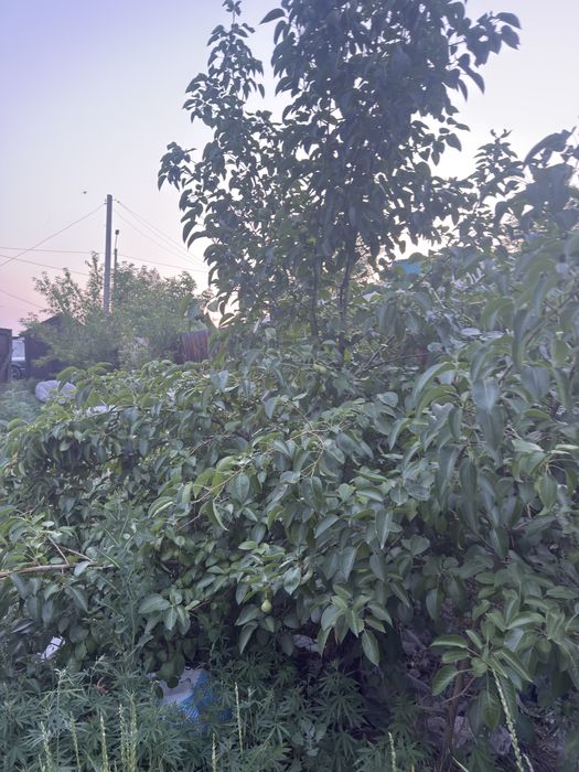 Продам участок или обменяю