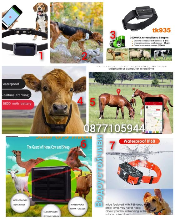 GPS за коне,кучета тракер с БЕЗПЛАТНО онлайн проследяване водоустойчив