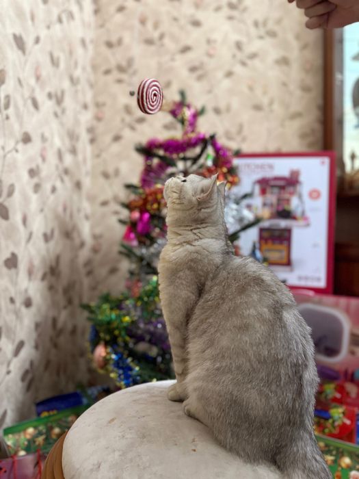 Приглашаем на Взяку!