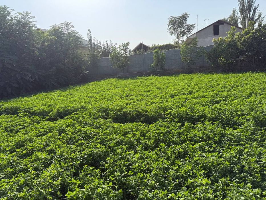 Уй Сотилади - 6 сотик