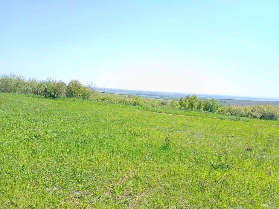 Продава се Парцел в с. Жеглица, Област Видин - 1500 кв.м за 5 €/кв.м - Снимка #1