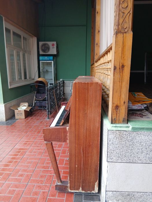 Пионино сотилади