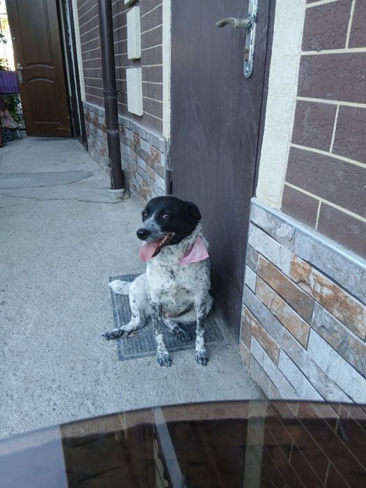 Девочка ждет своего человека!