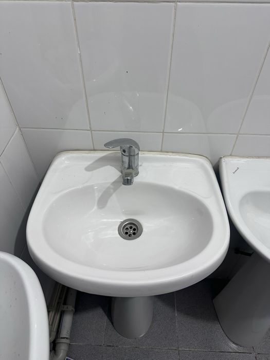 Раквина белые новые