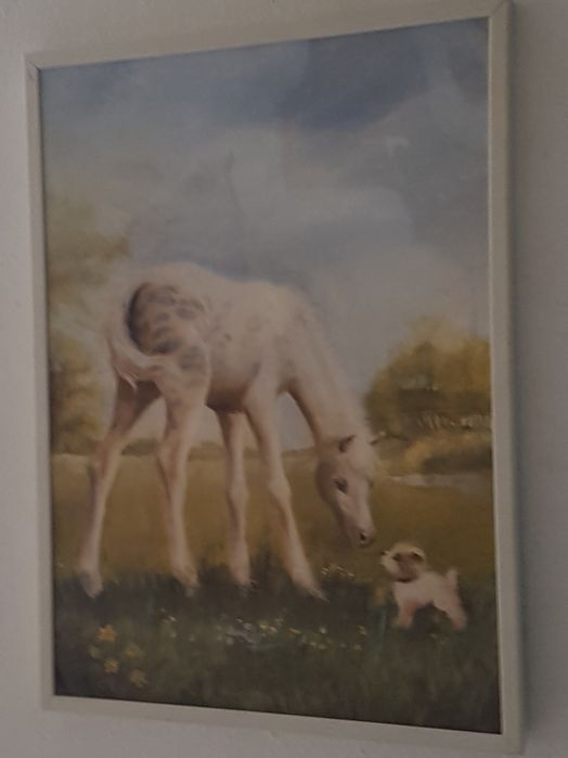 картини картини картини