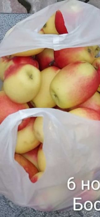 Апорт Алматинский