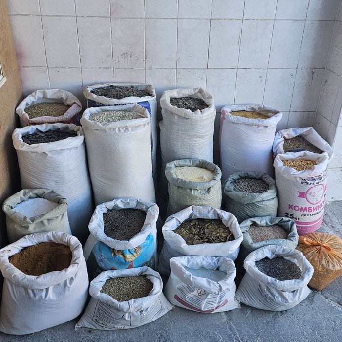 Барлык жем корм бар