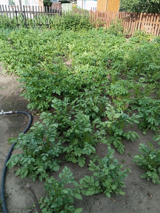 Продам кирпичный дом