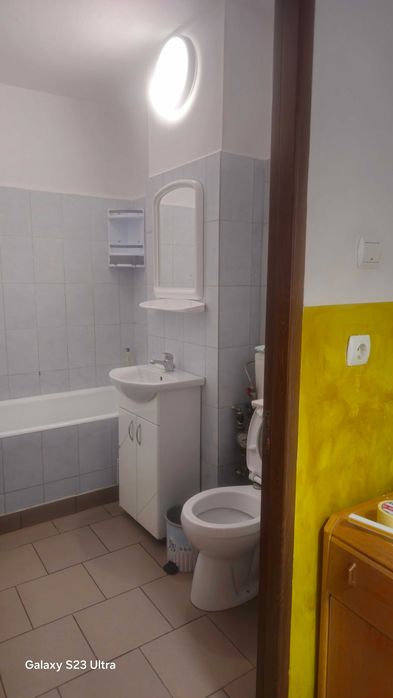Dau in chirie garsoniera utilata si mobilata zona Nufaru