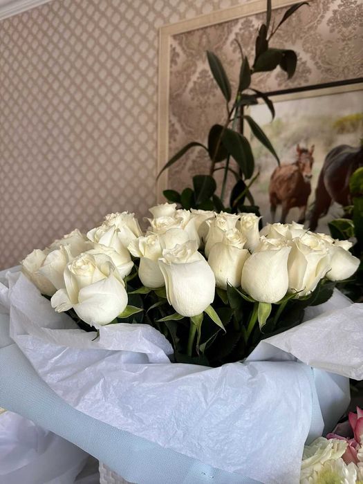 Продам цветы Свежие