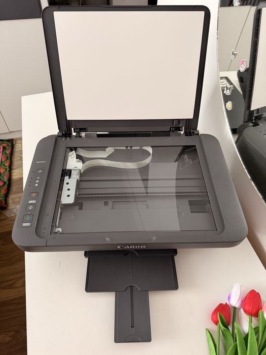 Принтер canon pixma MG 2541S