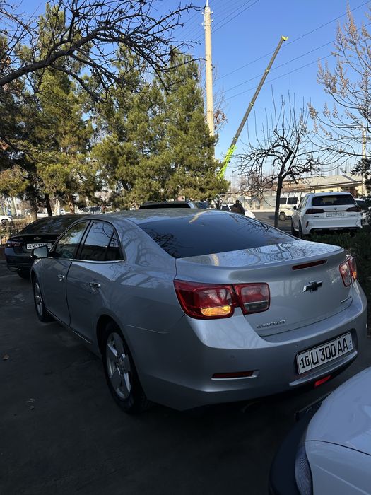 Malibu 1 arzonga lukli