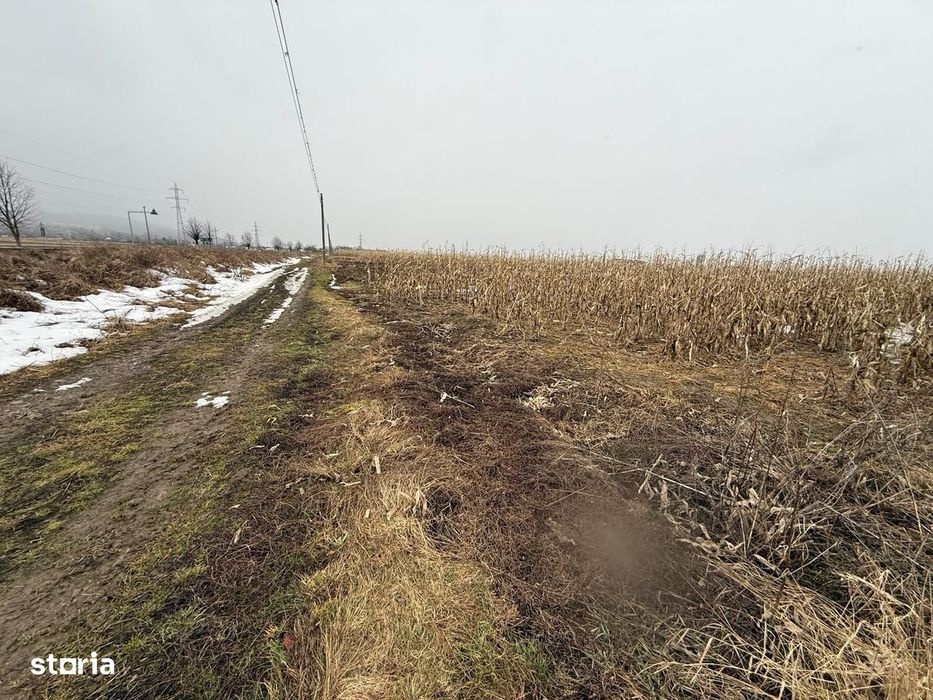 Teren extravilan | Gălănești | 7.276 mp | Front 29 m