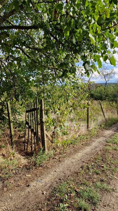 Продава се Парцел в Варна, м-т Траката - 650 кв.м за 25 €/кв.м - Снимка #3