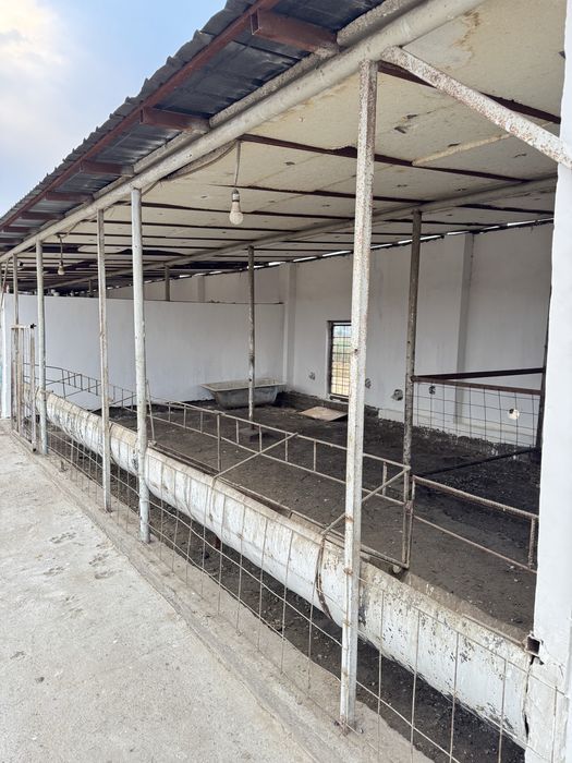 Қора сатылады жағдае жасалған