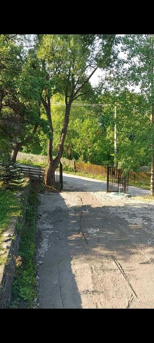 Vand casa de vacanta in Valea Doftanei , teren, vila, Paltinu, natura