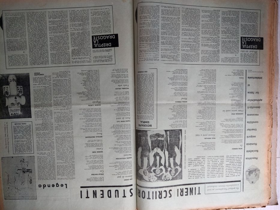 Ziare vechi-Ziarul Luceafarul 19 editii din anii 1965-1966