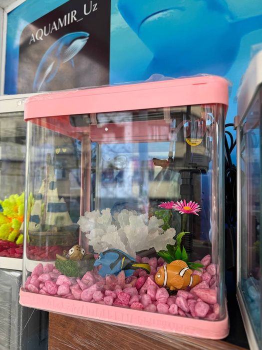 Akvarum va baliq magazin