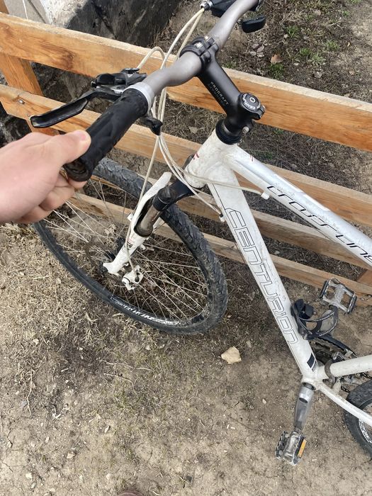 Велик сатылады !