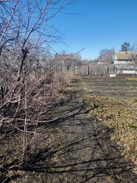 Продам дачу в Борках