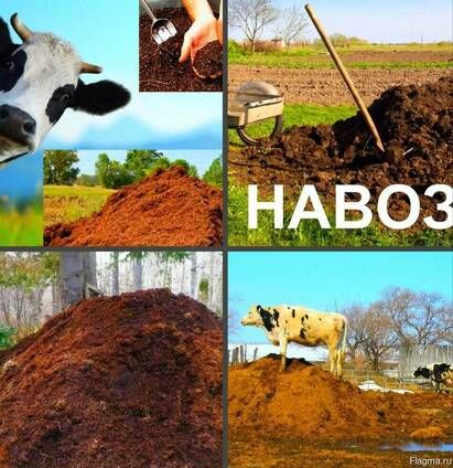супер перегной НАЗЕМ  в мешках