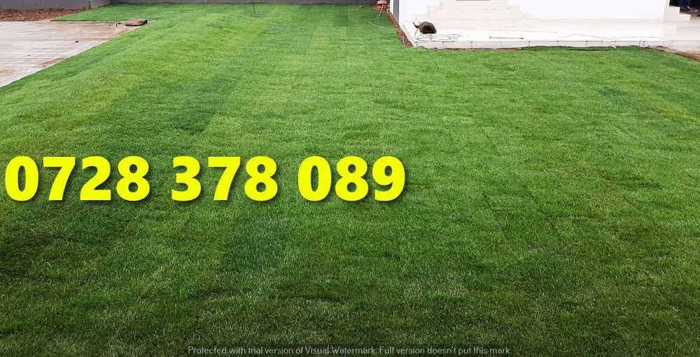 Rulouri de gazon plus Montaj !