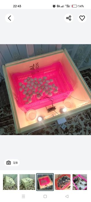 Инкубатор на 250перепелиных (100кур яиц)