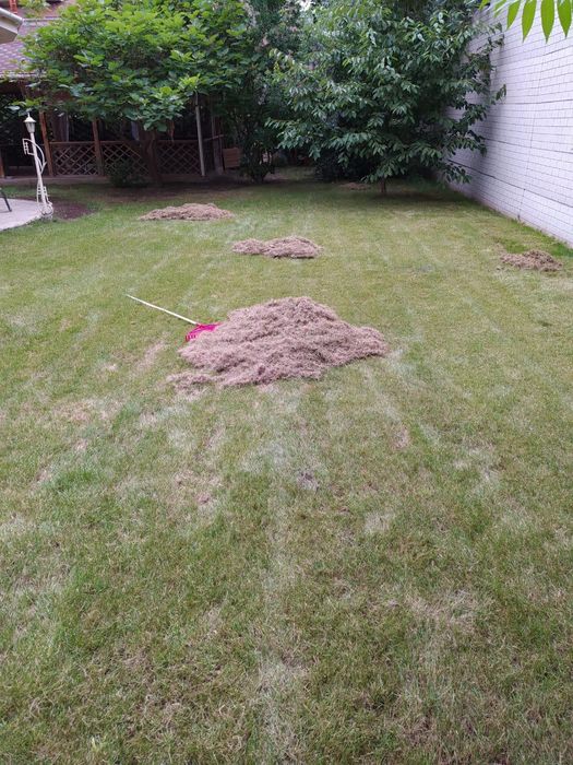 Садовник - озеленитель