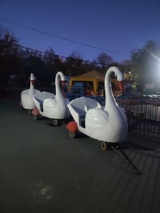 Три белых лебедя