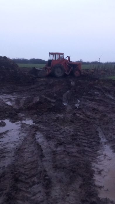 gunoi de VACI putred și proaspăt