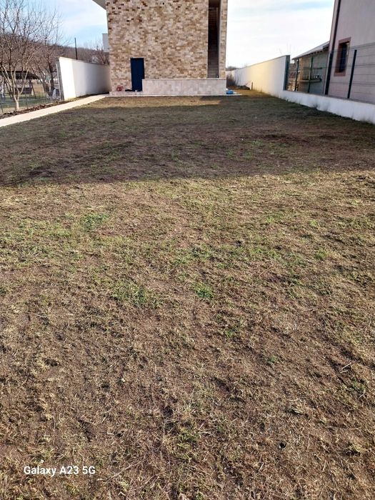 Tundem pomi grădinărit plantăm copaci etc