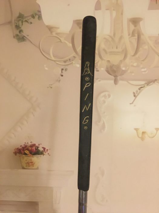 Crosa golf Zebra Ram U.S.A.