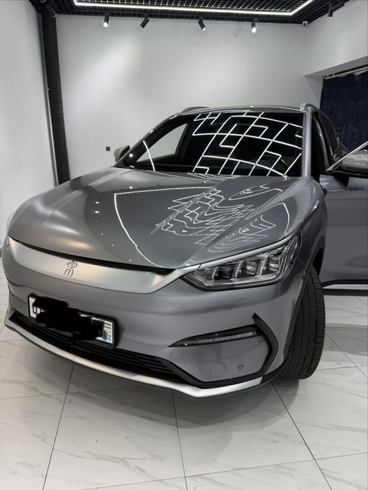 Other Song Plus EV Champion 2022