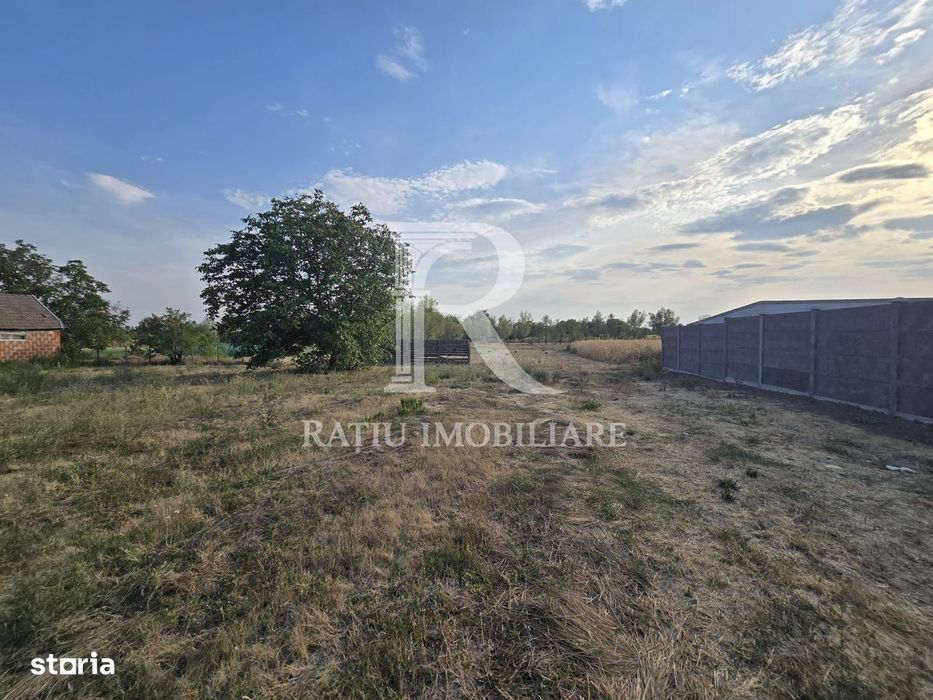 Teren intravilan 6.514mp | 39m front stradal | Ciocaia, Săcuieni