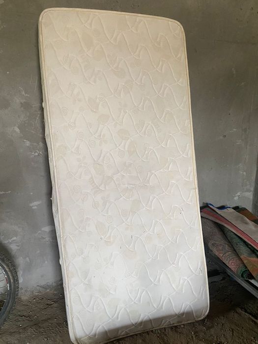 Отдам даром срочно