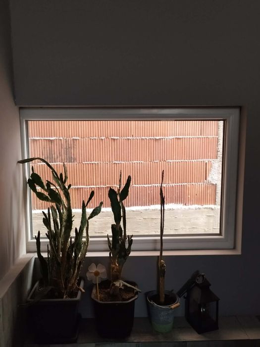 Алуминиева и ПВЦ дограма