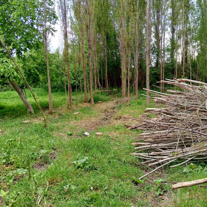 Участок Земля продается кодастор есть.. земля в пригороде имеется