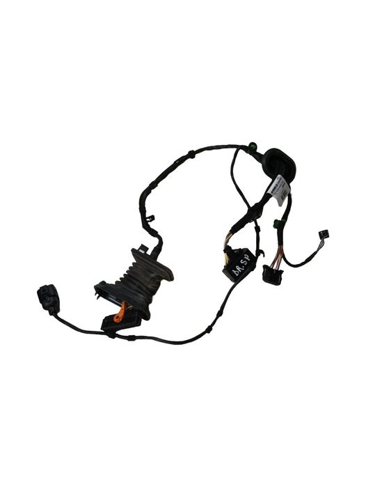 Instalatie Electrica Usa Dreapta Spate Volkswagen Golf Plus 5M1, 521