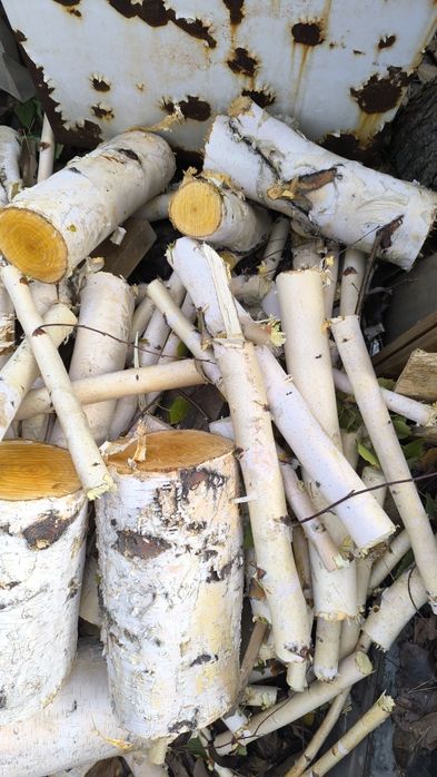 Спил (распил) деревьев кустов