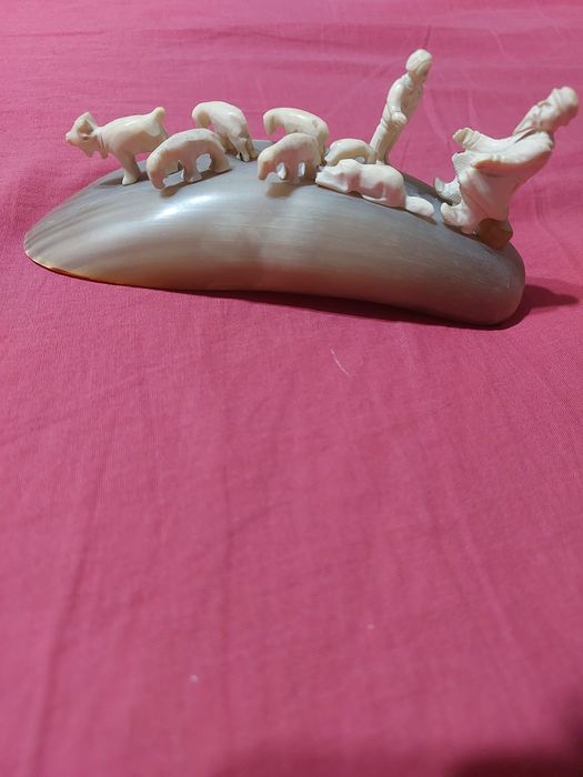 Кость рог писать на вацап