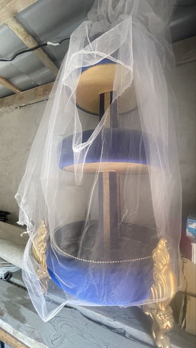 Тойға арналған жағдайы жақсы