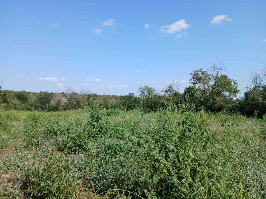 Къща с 2 декара двор, в село Кривня, обл.Варна