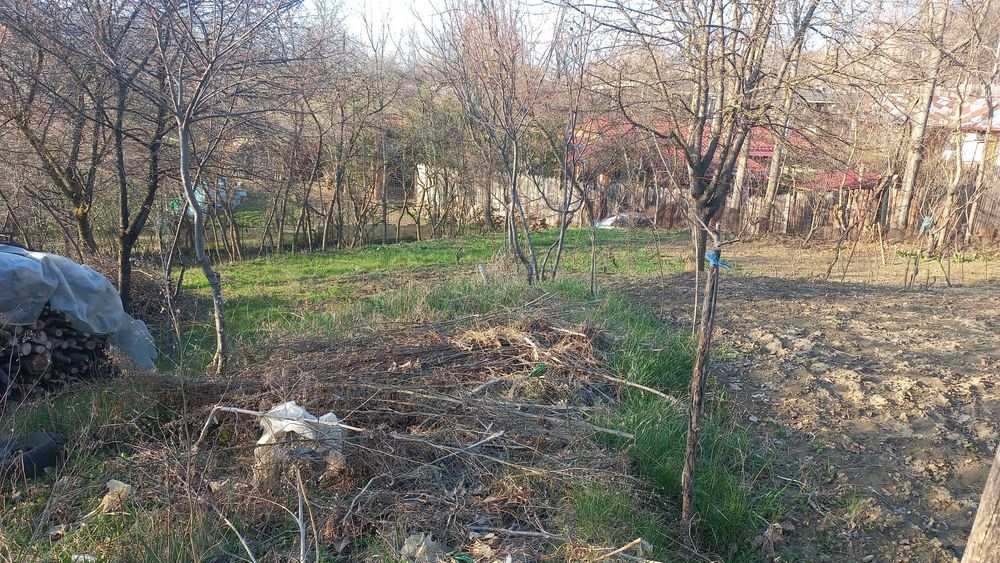 Teren intravilan și extravilan