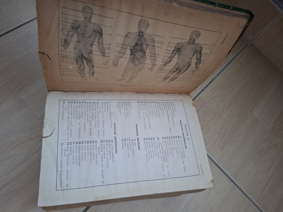 Dicționar francez ilustrat