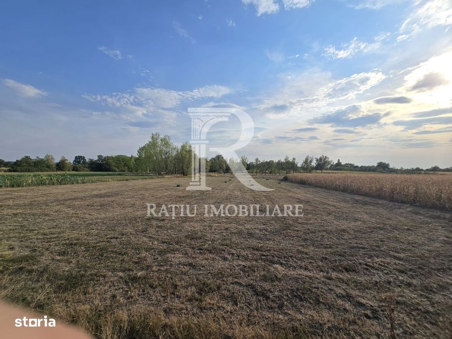 Teren intravilan 6.514mp | 39m front stradal | Ciocaia, Săcuieni