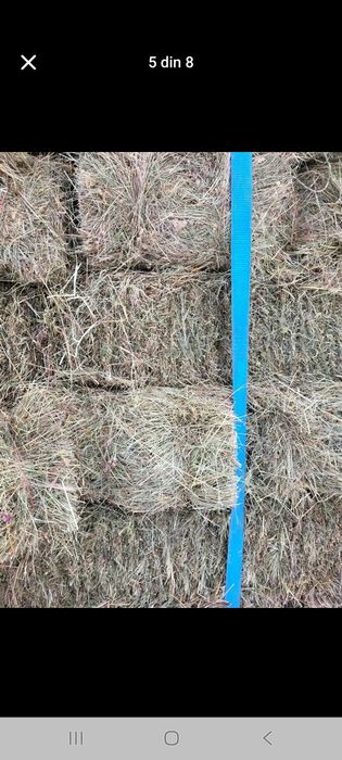 Baloti de fan de vanzare