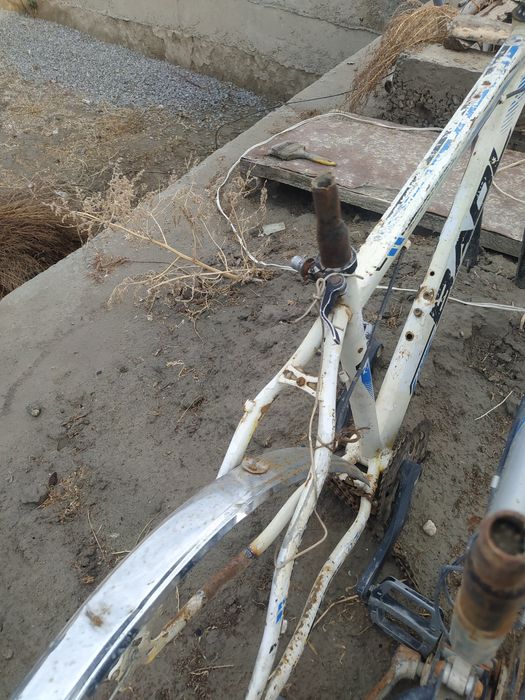 Ikita germanske velaspetlar