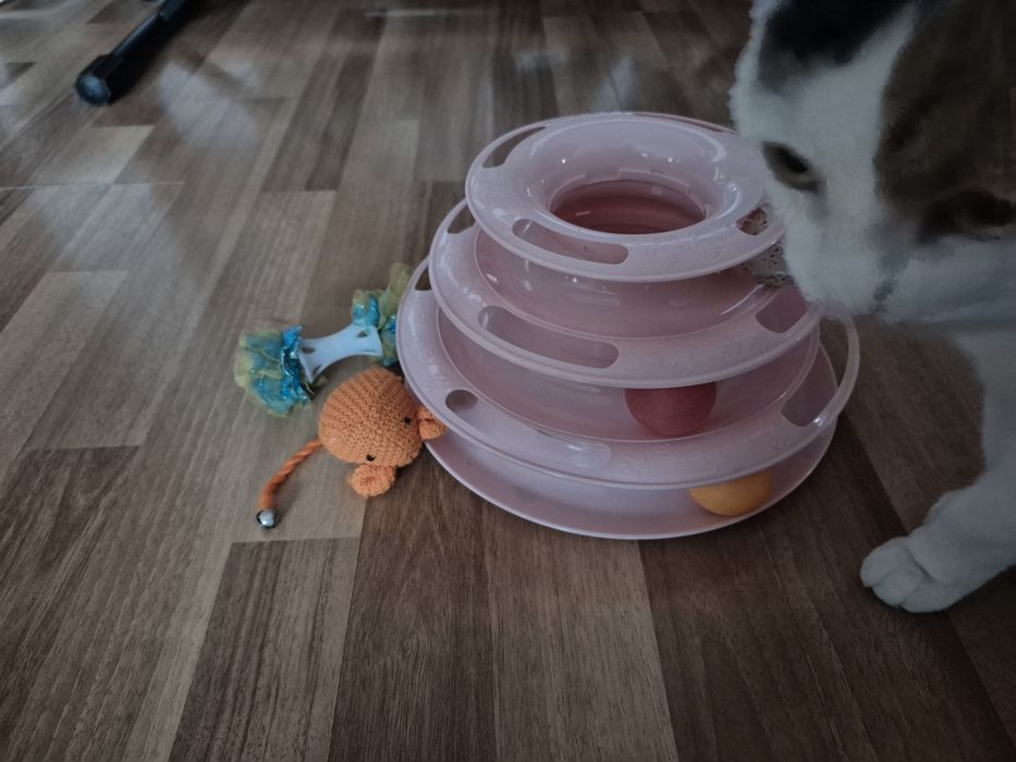 Jucarie/jucarii pentru pisica