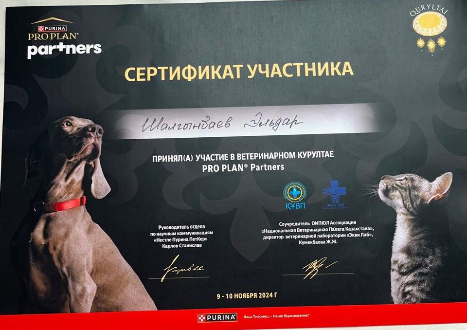 Ветеринар на дом. Ветеринар на выезд.